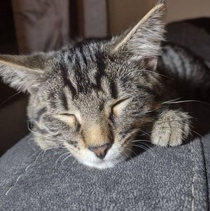 Meet your Posher, Sara